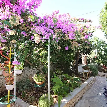 Sara * Rogoznica (Sibenik-Knin)