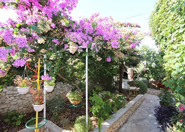 Sara * Rogoznica (Sibenik-Knin)